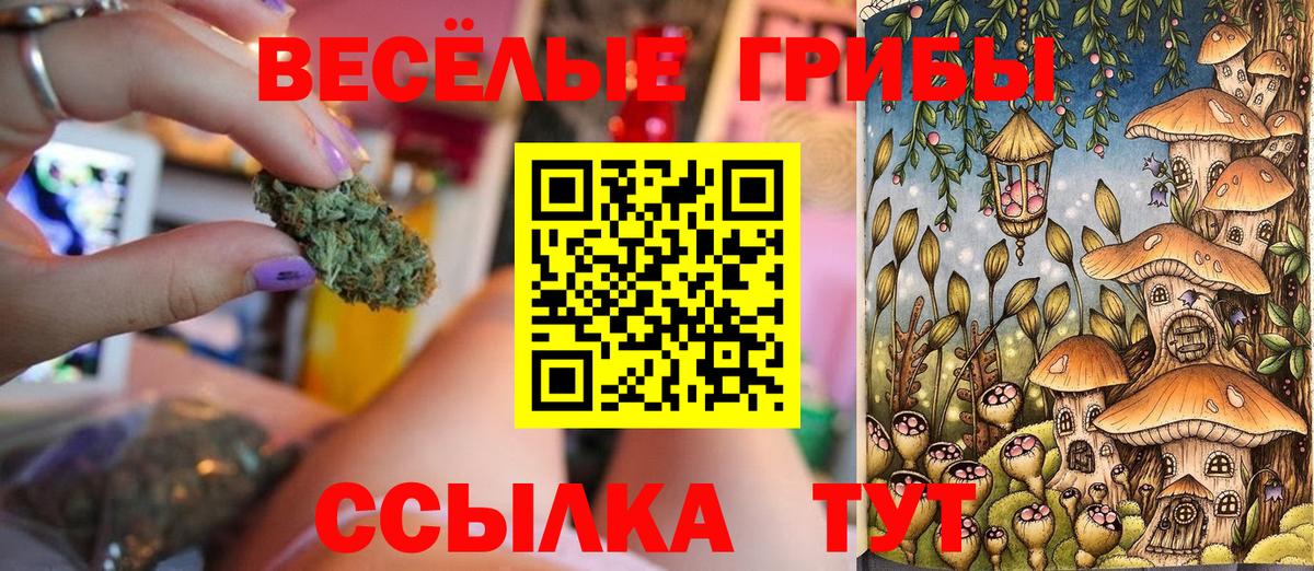 Псилоцибиновые грибы мицелий Новоалександровск
