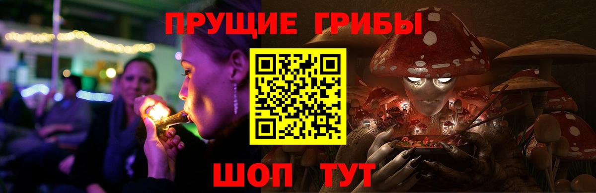 Галлюциногенные грибы прущие грибы  Галлюциногенные грибы мицелий  Новоалександровск  Вход с VPN 